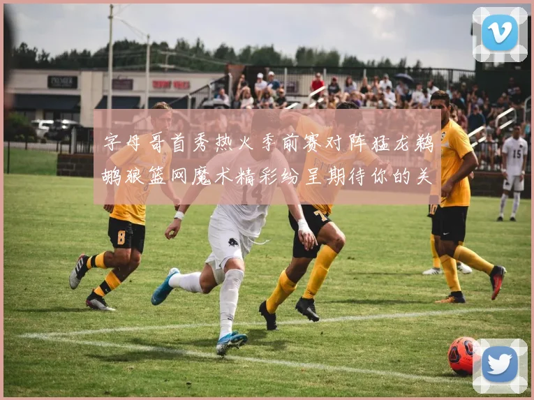 字母哥首秀热火季前赛对阵猛龙鹈鹕狼篮网魔术精彩纷呈期待你的关注