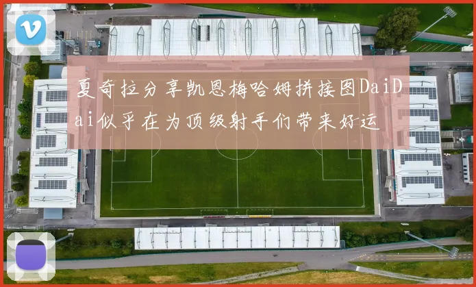 夏奇拉分享凯恩梅哈姆拼接图DaiDai似乎在为顶级射手们带来好运