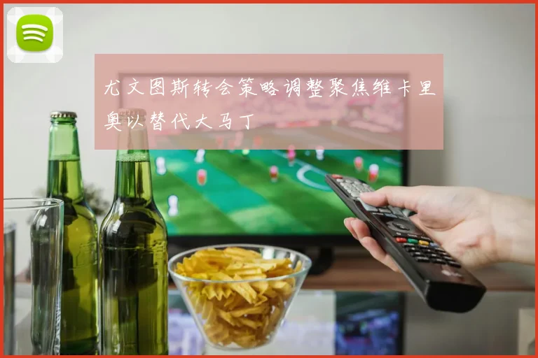 尤文图斯转会策略调整聚焦维卡里奥以替代大马丁