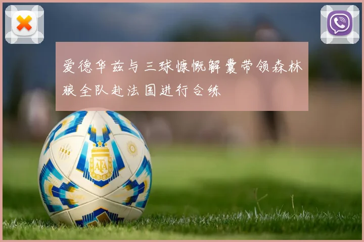 爱德华兹与三球慷慨解囊带领森林狼全队赴法国进行合练