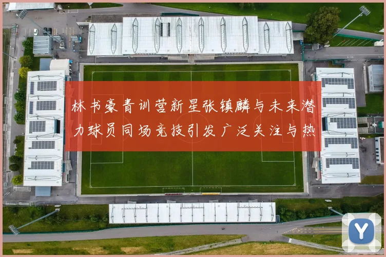 林书豪青训营新星张镇麟与未来潜力球员同场竞技引发广泛关注与热议